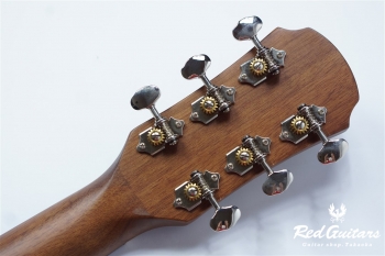 ARIA-101CE - Cherry Sunburst, Matt